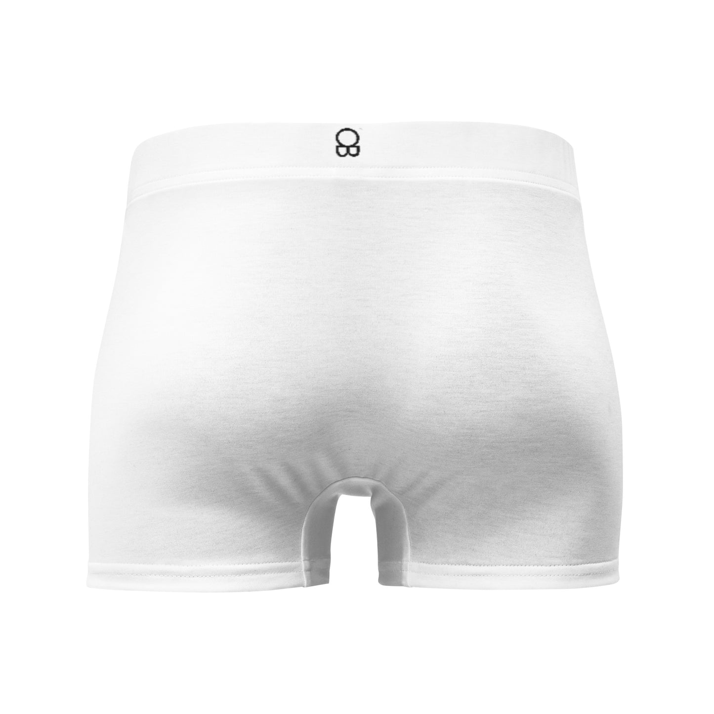 Briefs