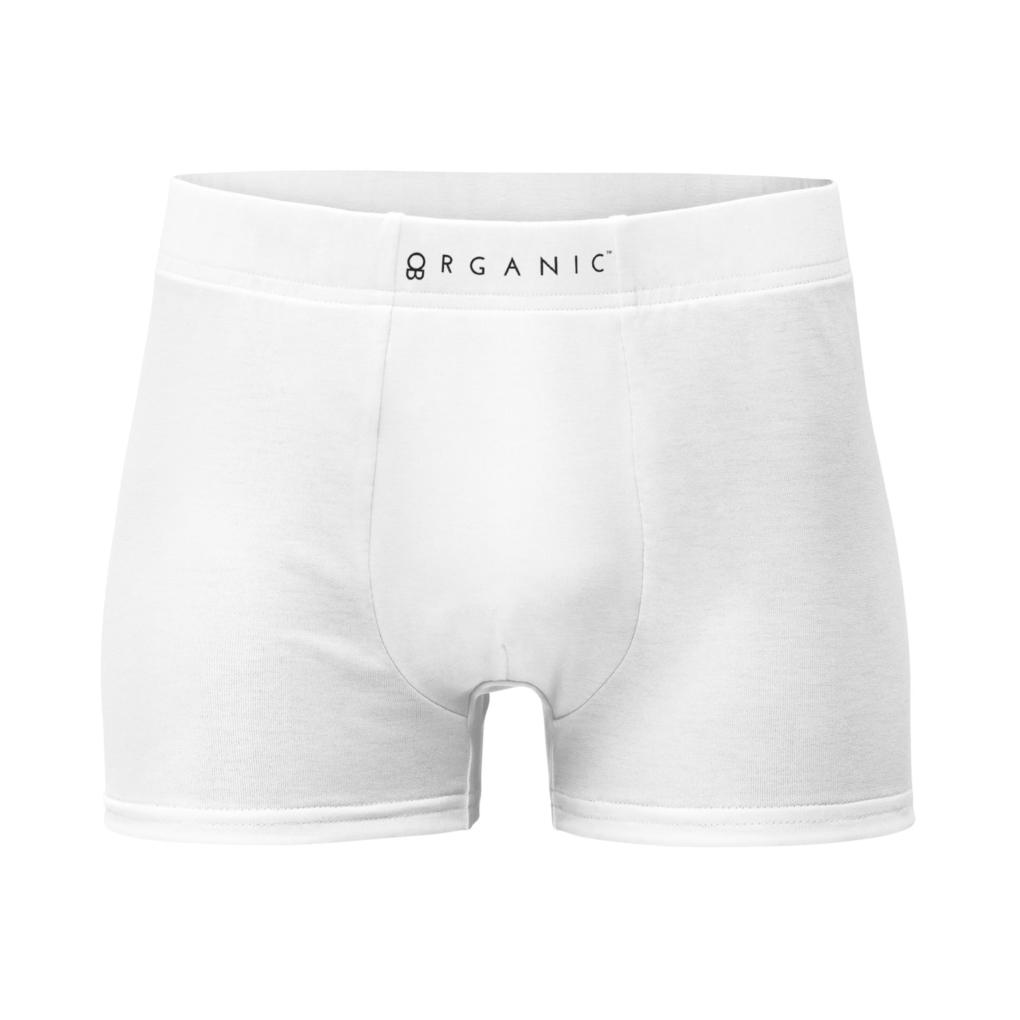 Briefs